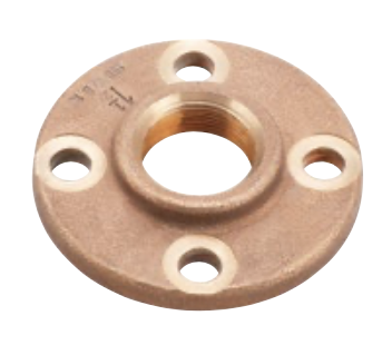 Companion Flanges